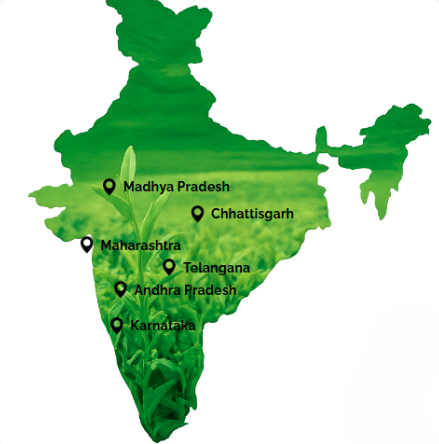 India Map