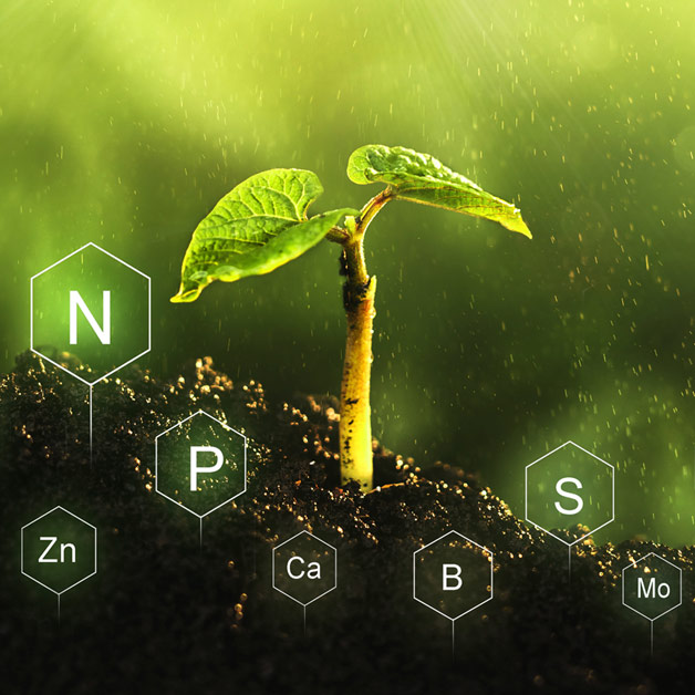 Micronutrients