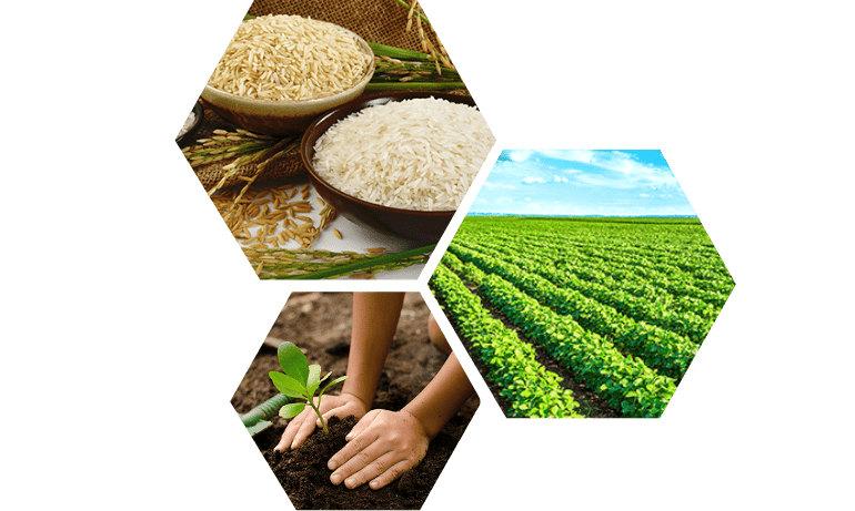 Sustainable Farming