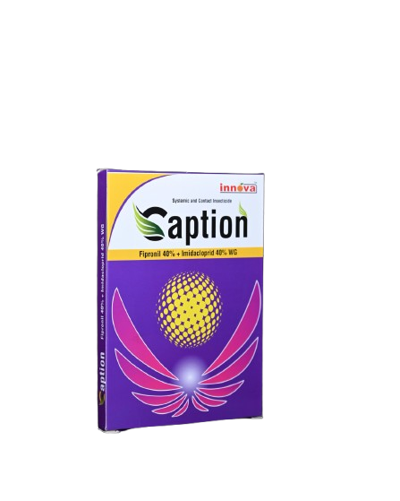 Product 2